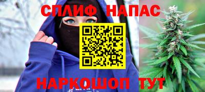 гидра Апрелевка