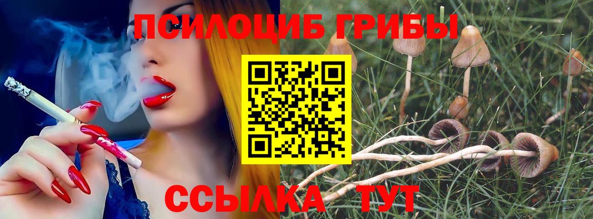 Галлюциногенные грибы Magic Shrooms  Псилоцибиновые грибы мухоморы  Воскресенск  Вход с VPN 